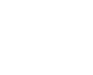 QuanTraderX logo